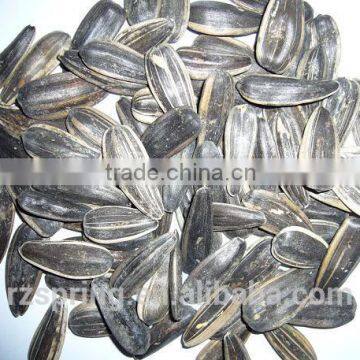 BLACK SUNFLOWER SEEDS photo-3
