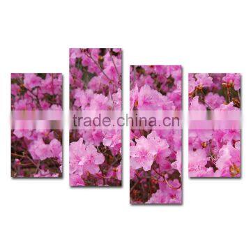 Gorgeous peach blossom multi-panel canvas prints