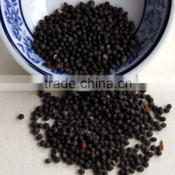Black Pepper Packaging