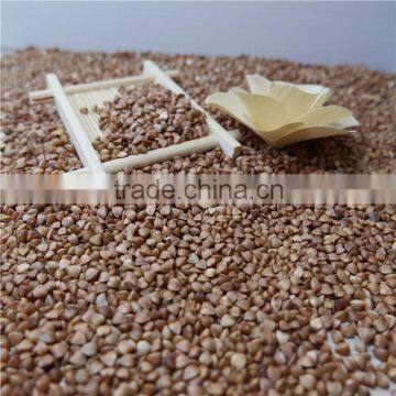 Roasted Buckwheat Kernel