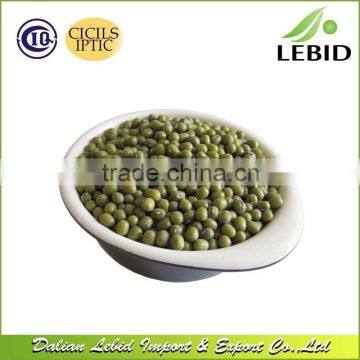 Export Green Mung Beans Specification photo-2
