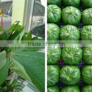 Cassava Leaf Grade A with competitive price from Vietnam