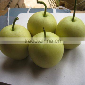 Nice difference specification of crown pear in china