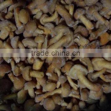 China Dried Mushroom With Stem photo-6