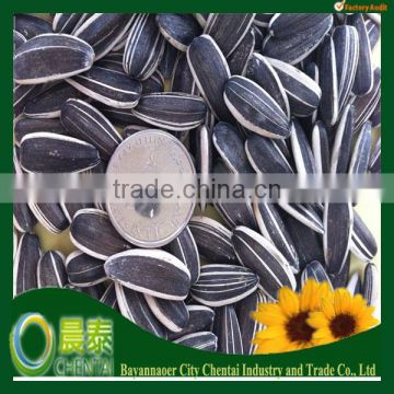 export Chinese bulk long shape sunflower seeds