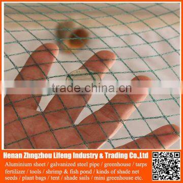 China Supplier Greenhouse Anti Bird Trap Mist Net , Plastic Fruit Bird Protection Net , pe Plant Support Anti Bird Green Net photo-5