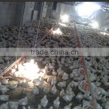 plastic slatted flooring poultry broiler house equipment