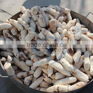 SIDA R&D tapioca/yam/ cassava peeling machine