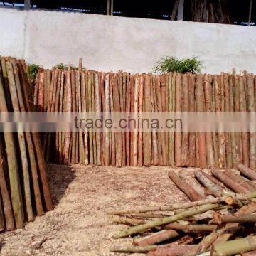 Litchi White Charcoal photo-1