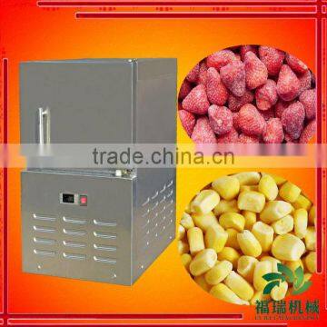 MADE IN CHINA small quick freezer/taylor freezer/industrial meatball freezer machine