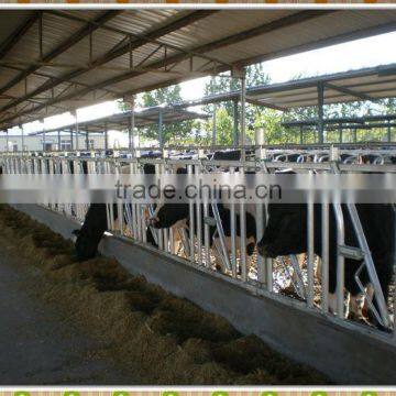 Cow headlock feeding equipment cow neck lock