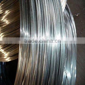 Stainless Steel Wire