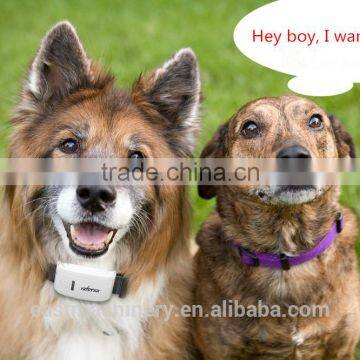 Cheap GPS Pet Tracker For Cat Dog Long Standby Time Tractive GPS Pet Tracker photo-5