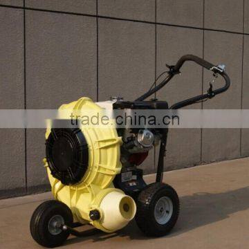 Petrol power Leaf Blower