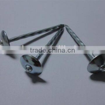 Cheaper Price Galvanized Roofing Nail With Umbrella Head photo-5