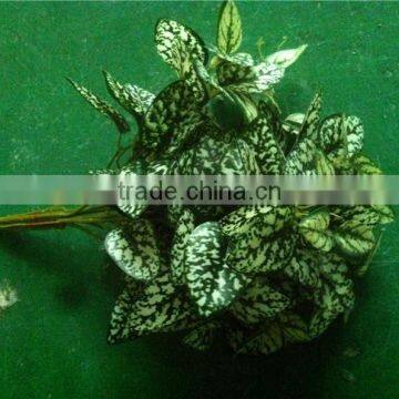 Home and Outdoor Garden Edging Christmas Decoration 60cm or 24inches Height Artificial Small Grass for Green Wall E04 1033 photo-3