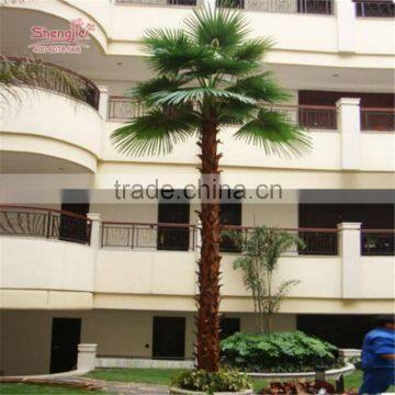 SJ2017200009 hot sale outdoor decorative fake Washington plastic date palm tree