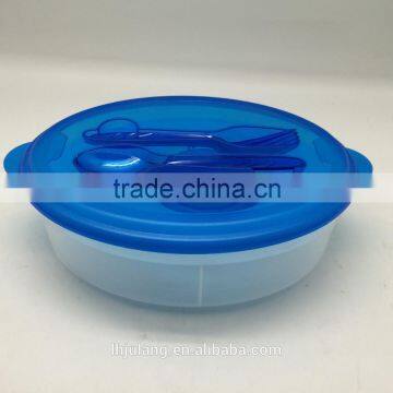 BPA-FREE Plastic Salad Lunch Box Set With Ice Pack/plastic Lunch Box Set photo-4