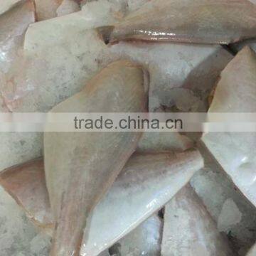 Frozen Leatherjacket Fish HGT photo-3