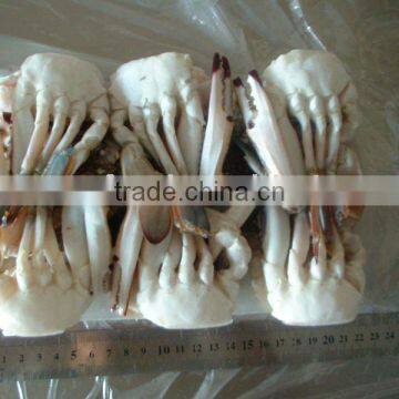 Frozen Cutting Swimming Crab