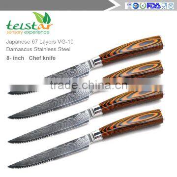 4.5 Inch Steak Knife Japanese VG-10 67 Layers Damascus Premium Steak Knife (4 Sets)