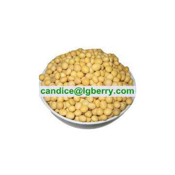 Concentrate Soya Protein (NON-GMO Soybean)