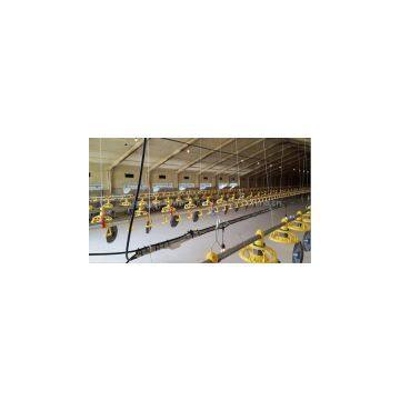 Automatic Chicken layer feeding and drinking line system Poultry Equipment For Chicken Farm