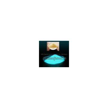 glowing pigment /powder glow in the dark pigment