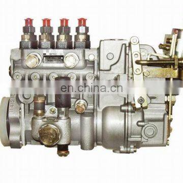 LOVOL fuel injection pump 1000