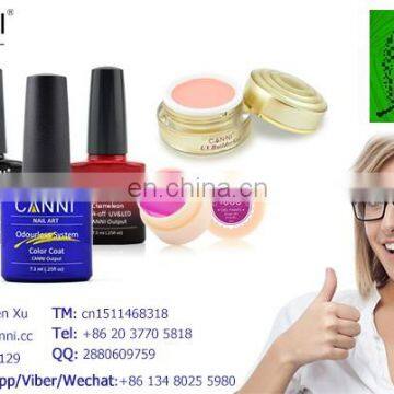 70601 New Double-headed Magnetic Plate Magnet Pen 1 PC CANNI Nail Art DIY Tool for All Magic 3D Cat Eyes Magnet Nail Gel Polish photo-6