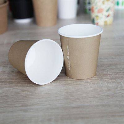 Disposable Environmental Protection 8oz Water Cup photo-2