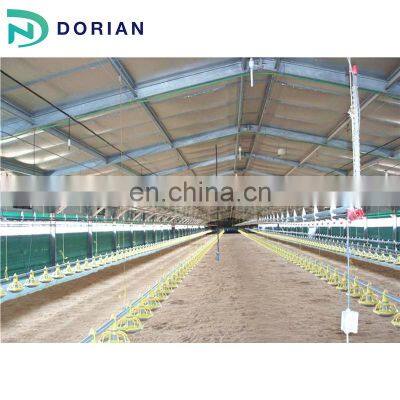 Modular Prefabricated Steel Structure Chicken House Construction photo-5