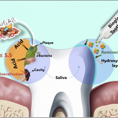 биологически активное стекло