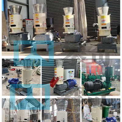 Wood Pellet Mills Rice Husk Pellet Machine Pellet Granulator Machine for Biochar Production Line photo-2
