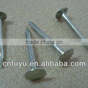 galvanized large flat head clout nail manufacturer