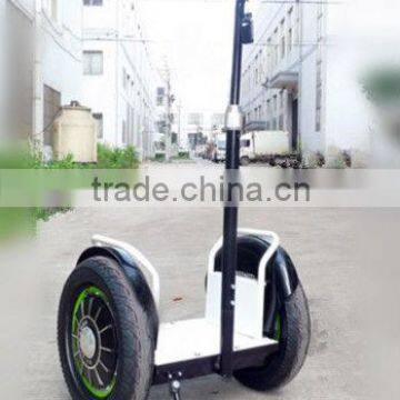 2013 new model with remote controller Zero-emission electric chariot(SKD-SG01,SKD-SG02)