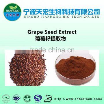 100% natural grape seed extract powder OPC 95%