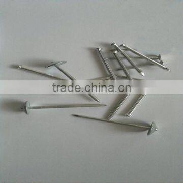 Galvanized Concrete Steel Nails photo-3