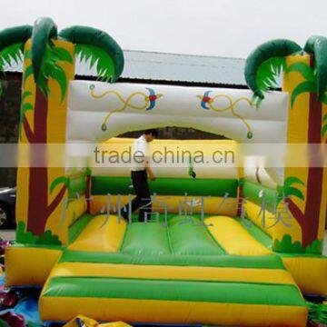 popular and factory inflatable bouncer with CE certification, inflatable jumper, bouncy castle