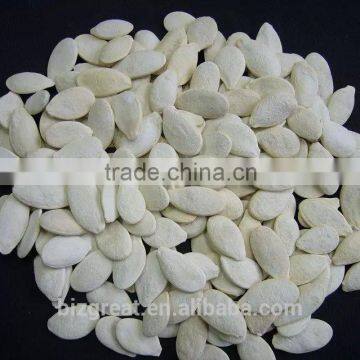 Raw Shin Skin Pumpkin Seeds for Sale photo-5