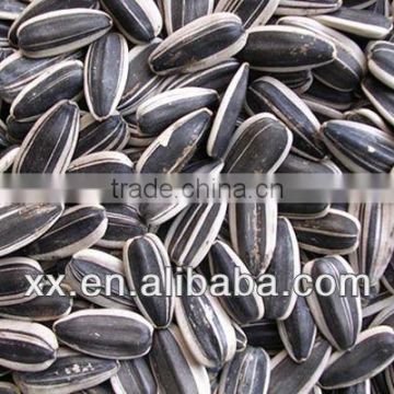 vegetable seeds for sale