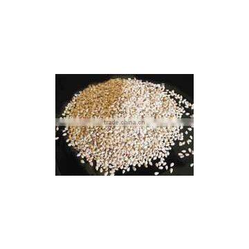 white sesame seeds