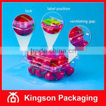 Disposable Clear Plastic Box for Fruit