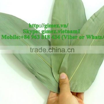 Big size bamboo leaves