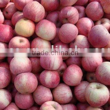 qinguan apple