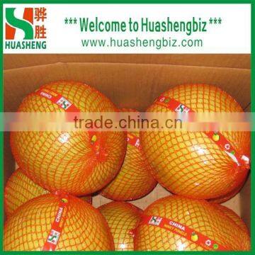 Top quality fresh fruits pomelo