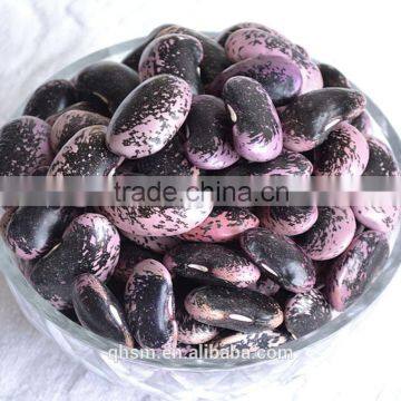 agriculture crop black kidney beans, kidney beans, kidney