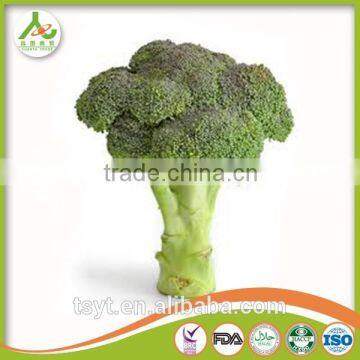 Broccoli Fresh Broccoli Hot Sale Fresh Green Broccoli photo-6