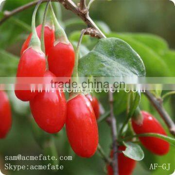 high quality ningxia goji