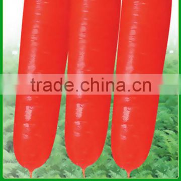 NCA01 Luobo carrot seeds price carrot planter from China